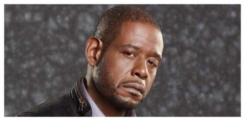 黑人男明星有哪些,盘点闪耀的黑人男明星风采