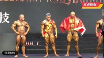 鹿晨辉以前照片