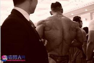 鹿晨辉以前照片