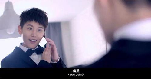 爱的未知数演员表,揭秘演员阵容，演绎情感纠葛