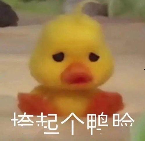 假装高潮表情包,揭秘假装高潮表情包的魅力