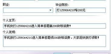 个人资料写些什么,梦想、挑战与成就