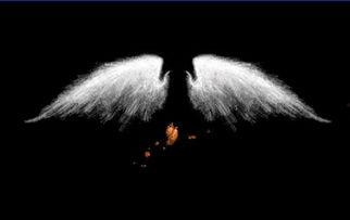 折翼的天使图片